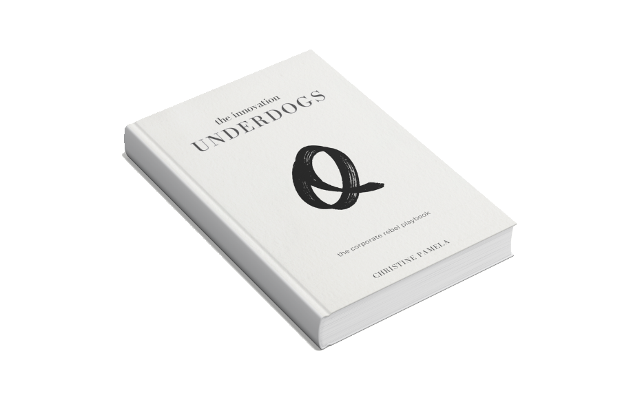 Innovation Underdogs Book